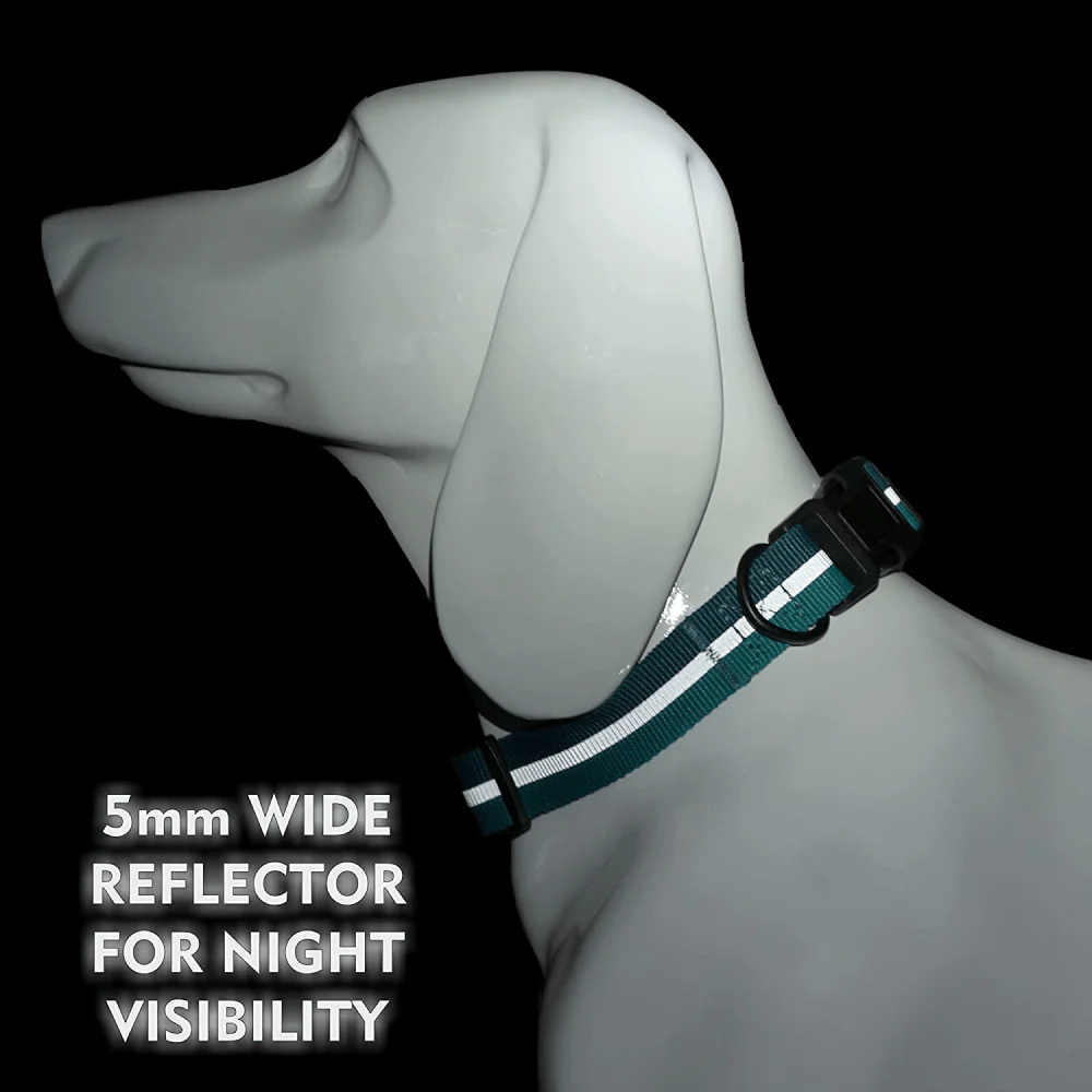 Glucklich Everyday Reflective Collar for Dogs (Sea Green) - Image 5