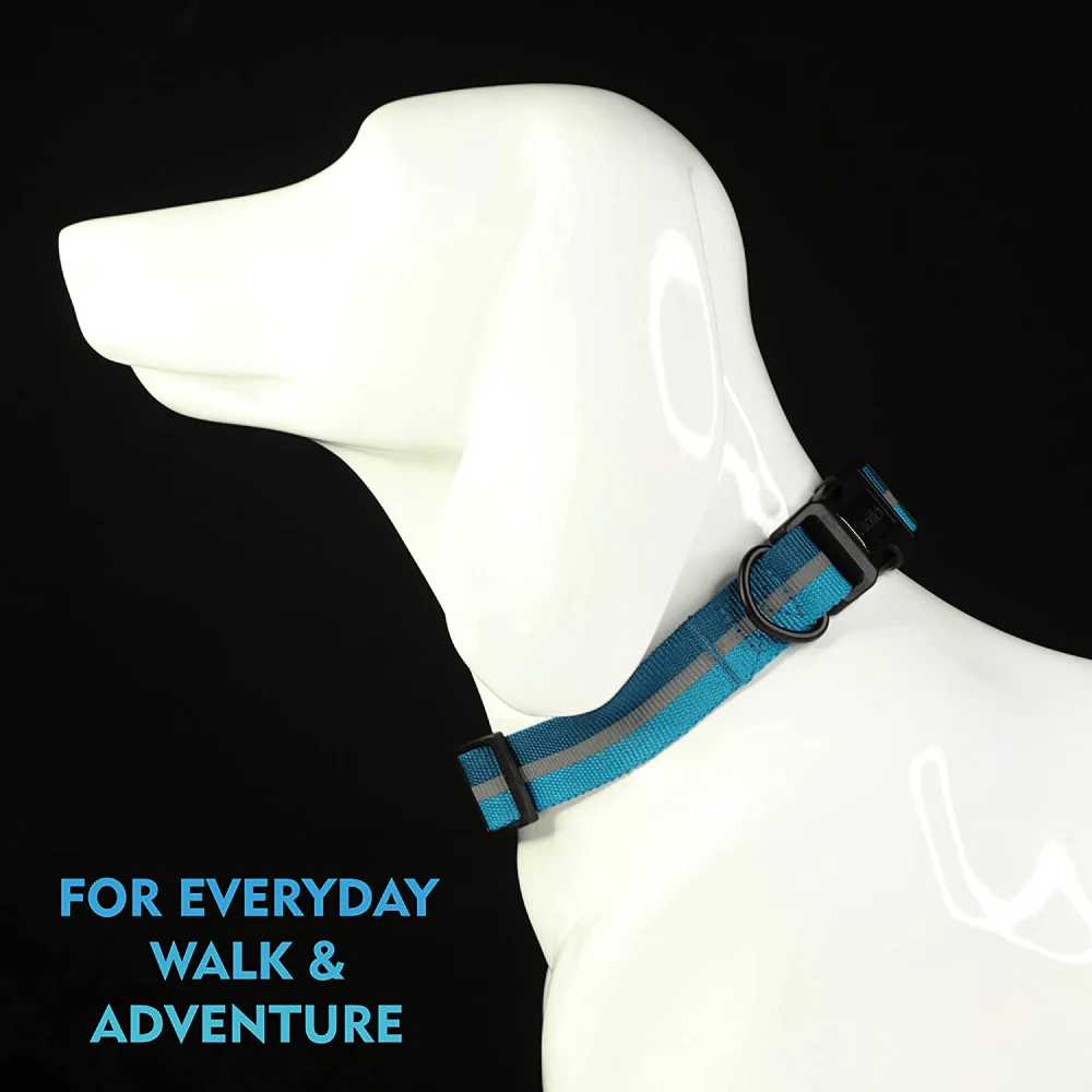 Glucklich Everyday Reflective Collar for Dogs (Sea Green) - Image 6