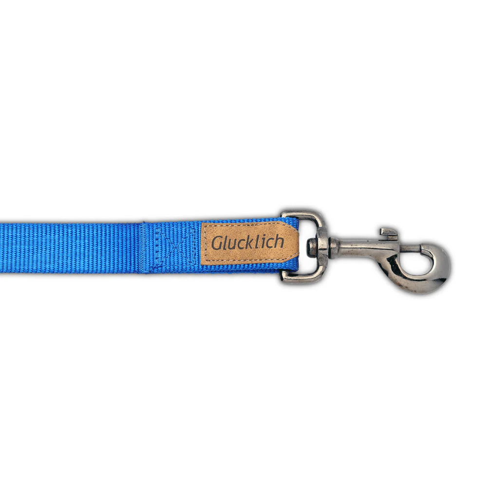 Glucklich Heavy Duty Printed Leash for Dogs (5ft Royal Blue) - Image 3