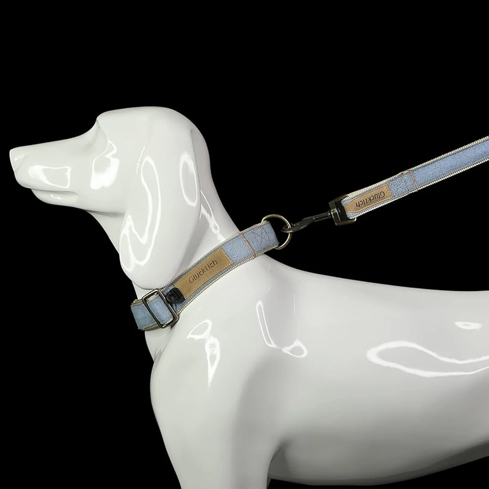 Glucklich Heavy Duty Printed Leash for Dogs (Light Blue) - Image 7