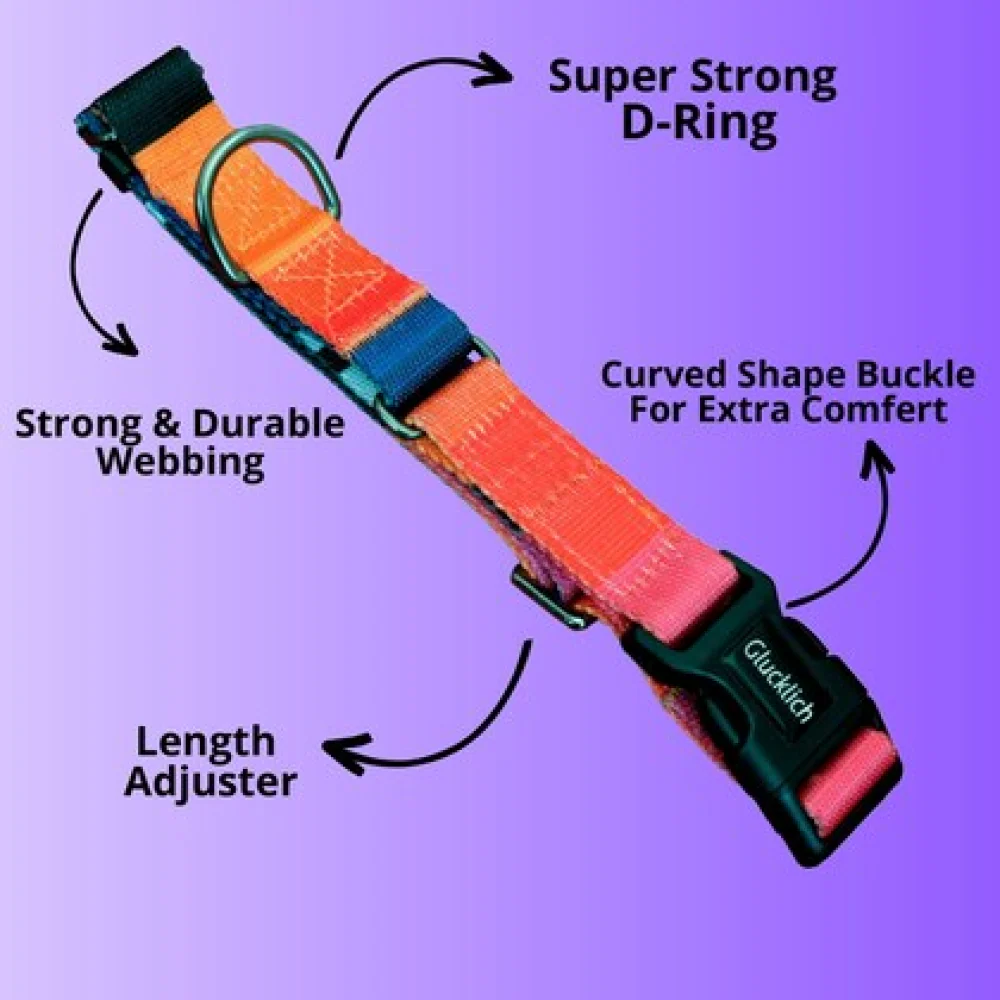 Glucklich Martingale Printed Adjustable Collar for Dogs (Dark Night) - Image 3