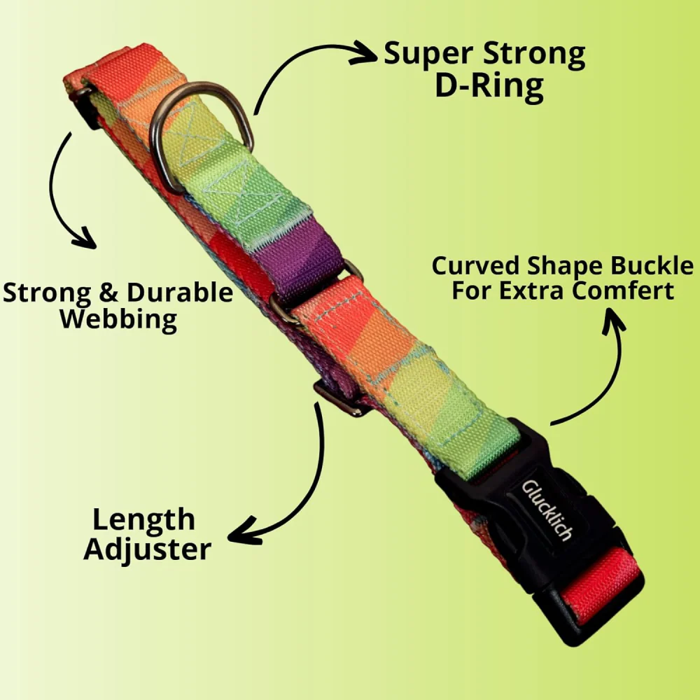 Glucklich Martingale Printed Adjustable Collar for Dogs (Rainbow) - Image 3