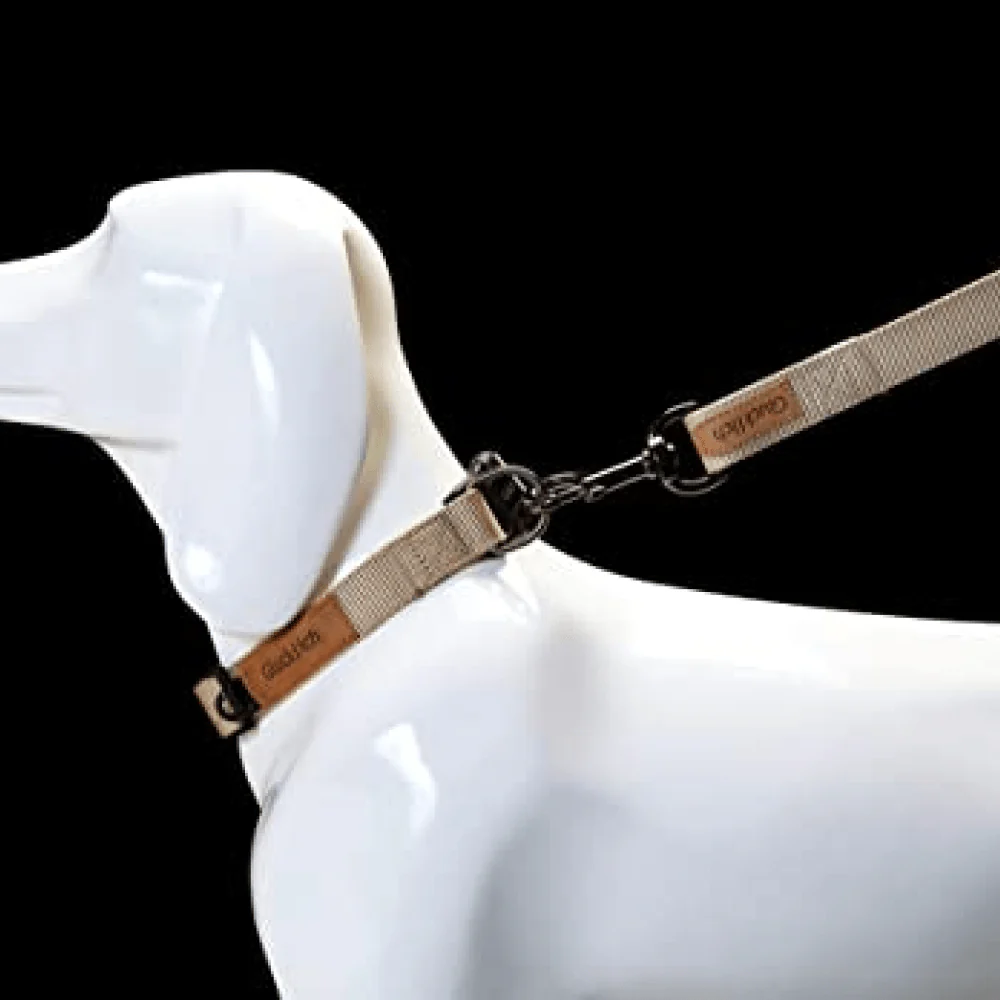 Glucklich Pet Essentials Classic Nylon Collar for Dogs (Beige) - Image 7