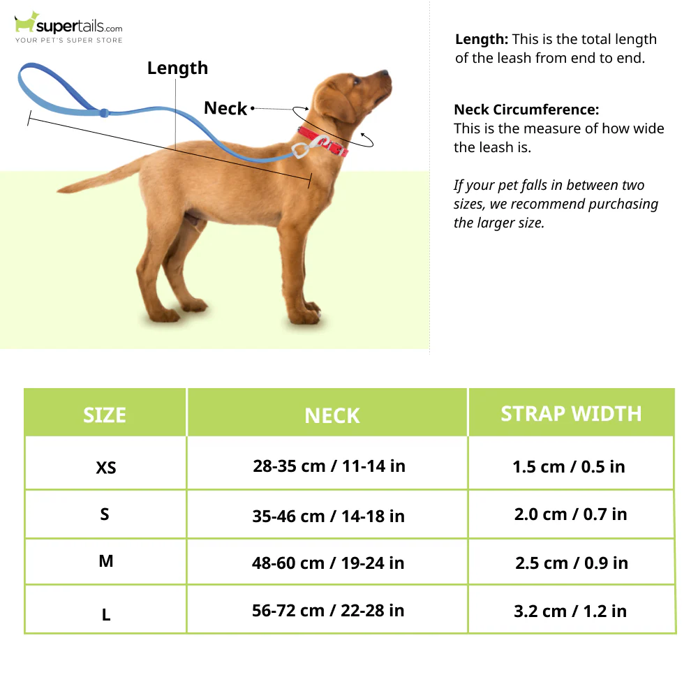 Glucklich Martingale Printed Adjustable Collar for Dogs (New Cadillac) - Image 2