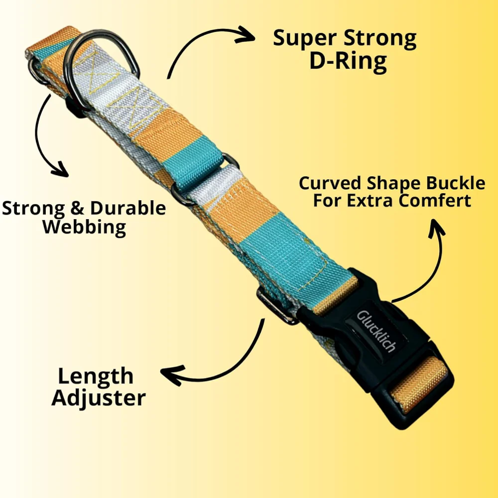 Glucklich Martingale Printed Adjustable Collar for Dogs (Cadillac) - Image 3