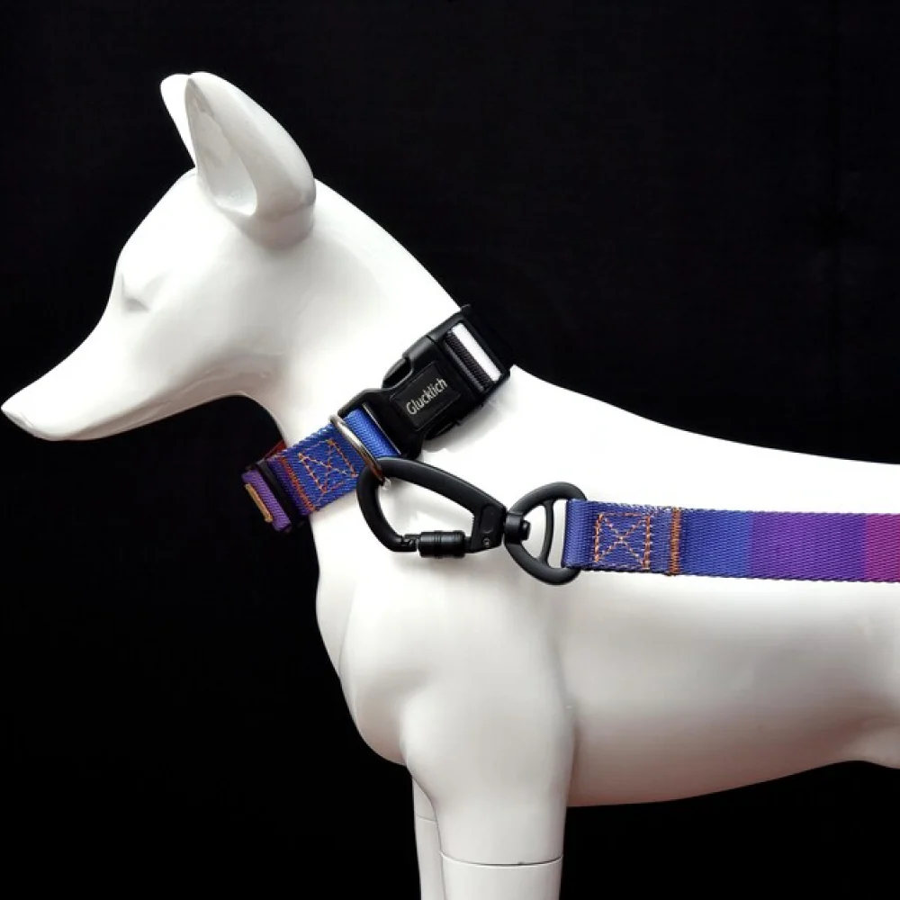 Glucklich Polyester Printed Adjustable Collar for Dogs (Dark Night) - Image 6