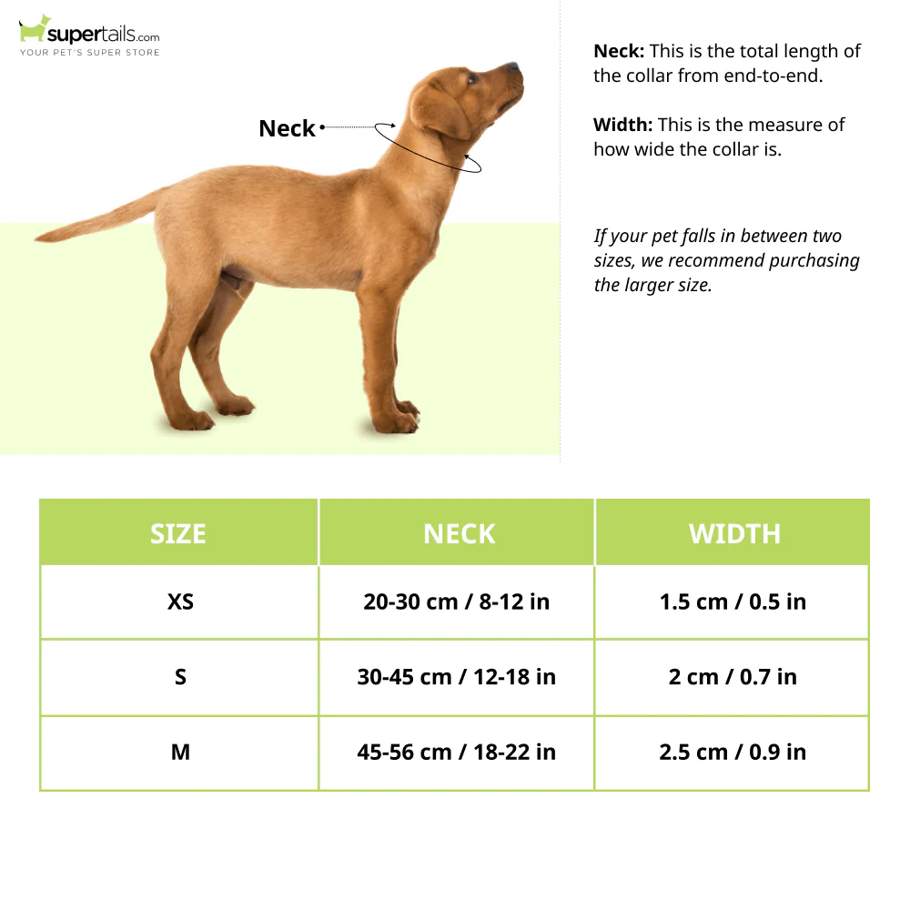 Glucklich Printed Polyester Adjustable Pet Collar for Dogs (Ohio) - Image 2
