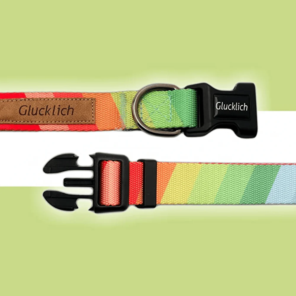 Glucklich Polyester Printed Puppy Collar for Dogs (Rainbow) - Image 3