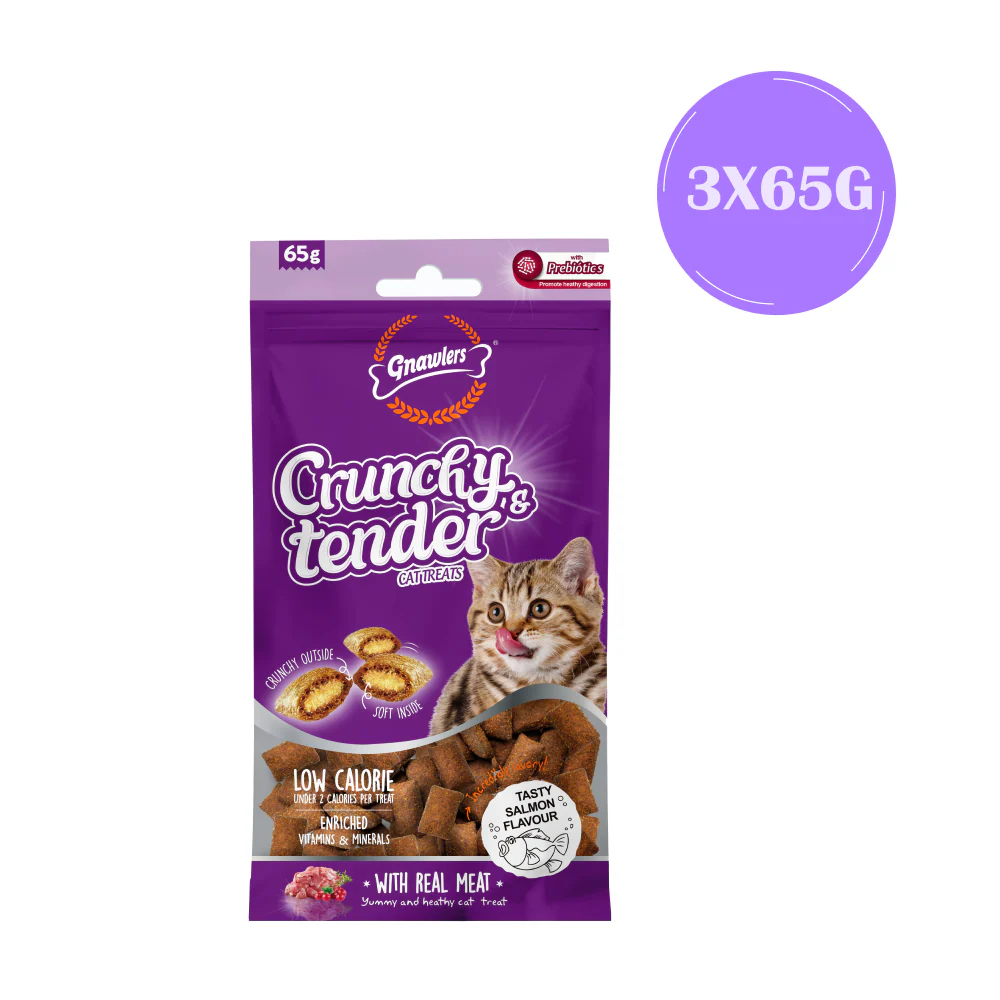 Gnawlers Salmon Crunchy Tender Cat Treats - Image 3