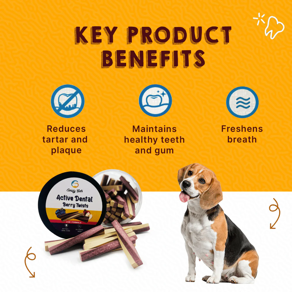 Goofy Tails Blueberry and Apple Active Dental Twists Dog Treats - Image 3