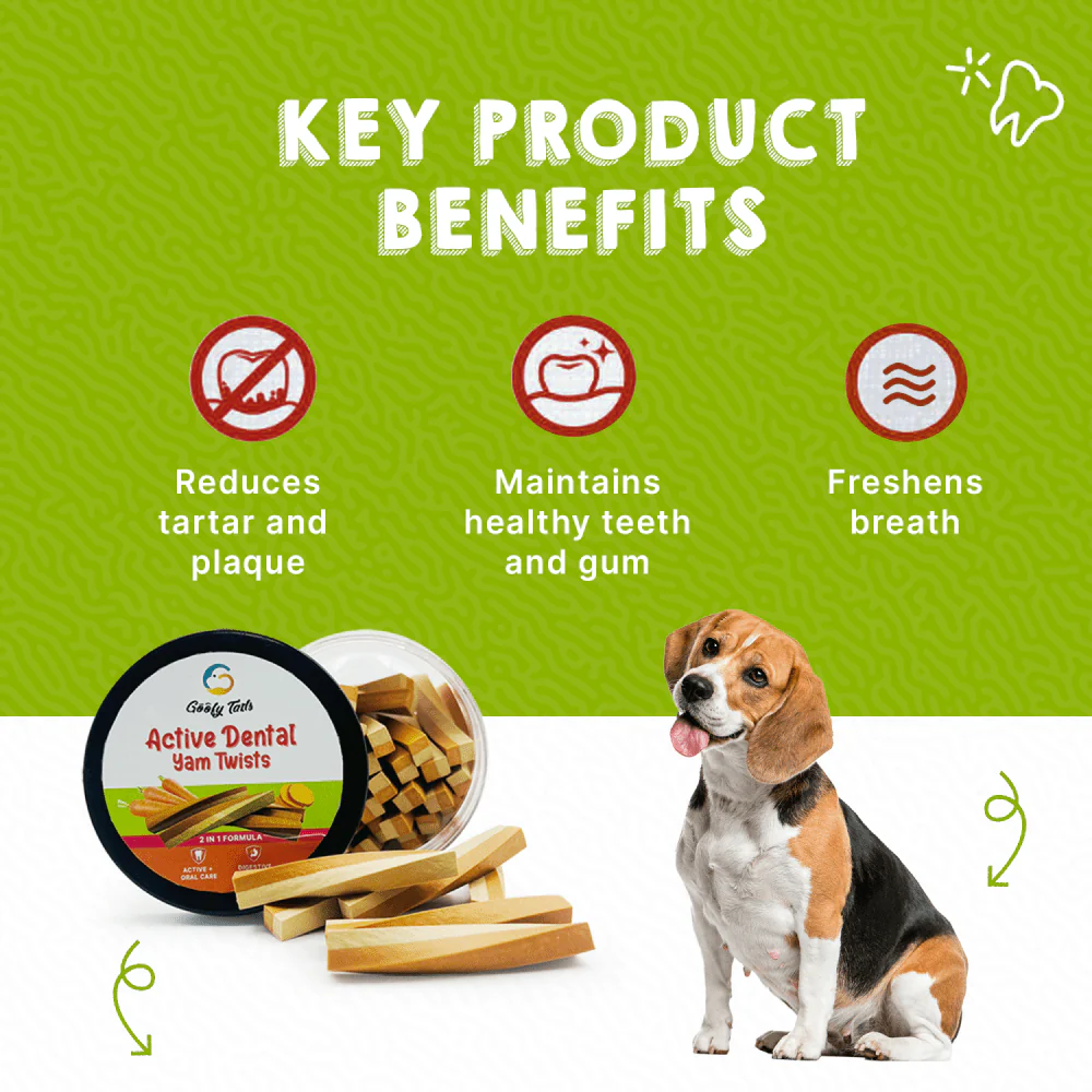 Goofy Tails Carrot and Yam Active Dental Twists Dog Treats - Image 2