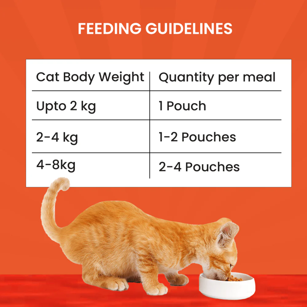 Goofy Tails Chicken and Flaxseed Cat Wet Food - Image 2