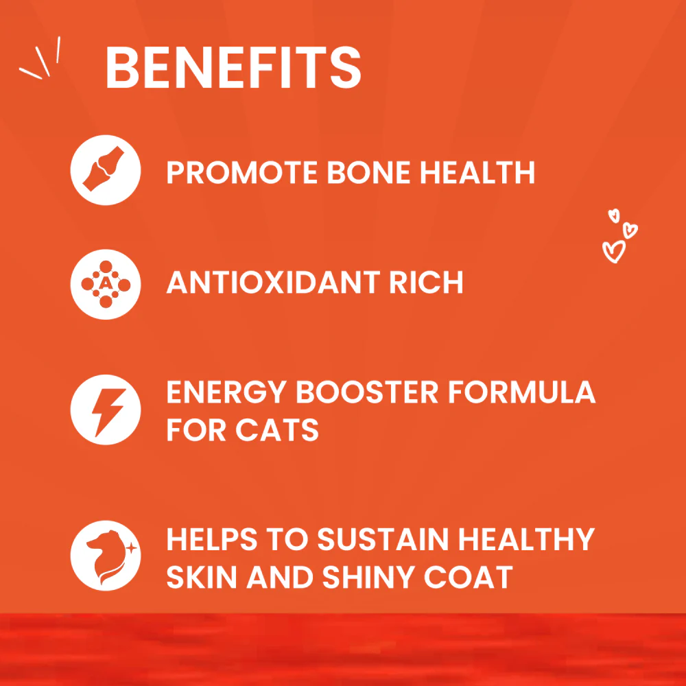 Goofy Tails Chicken and Flaxseed Cat Wet Food - Image 3