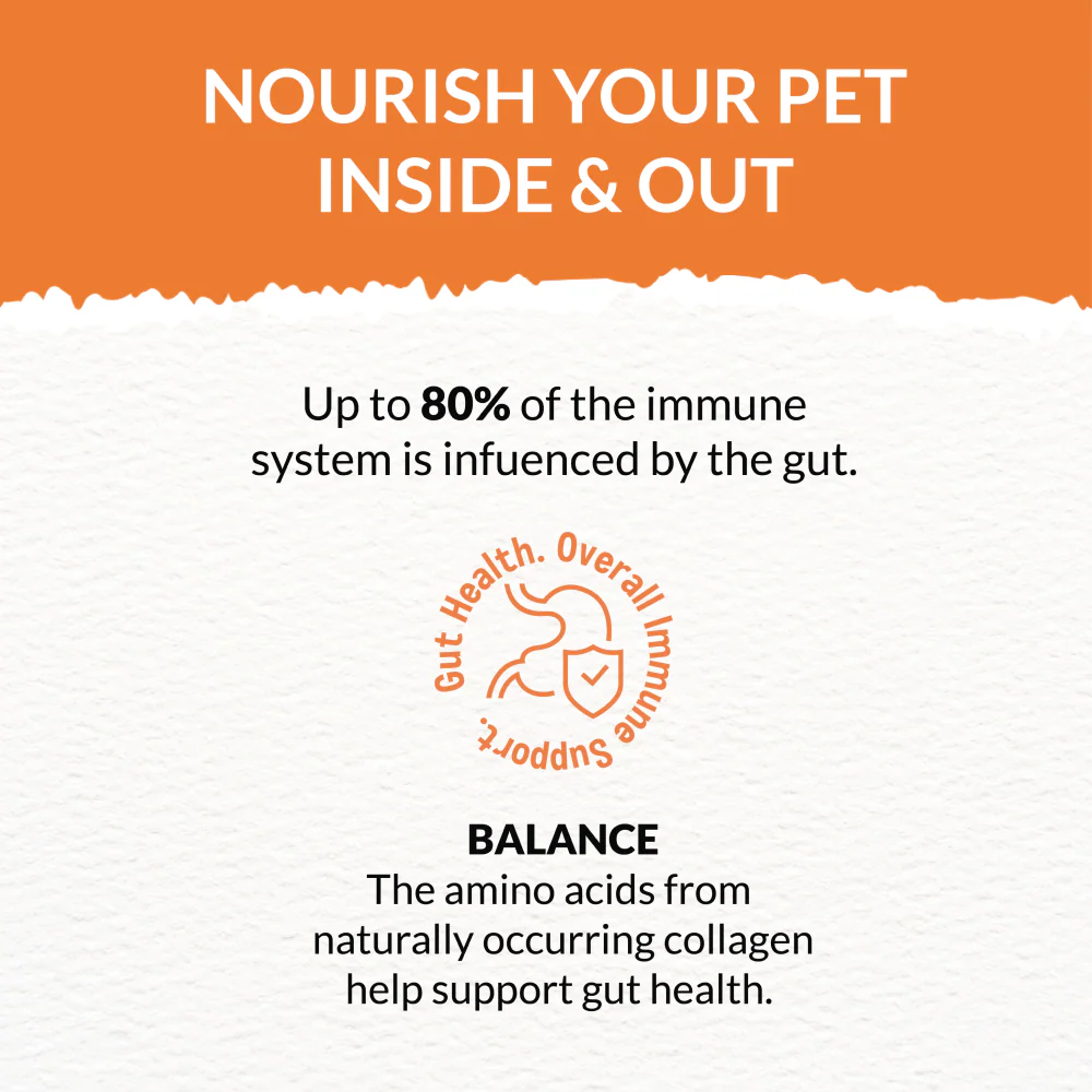 Goofy Tails Chicken Bone Broth for Dogs - Image 6