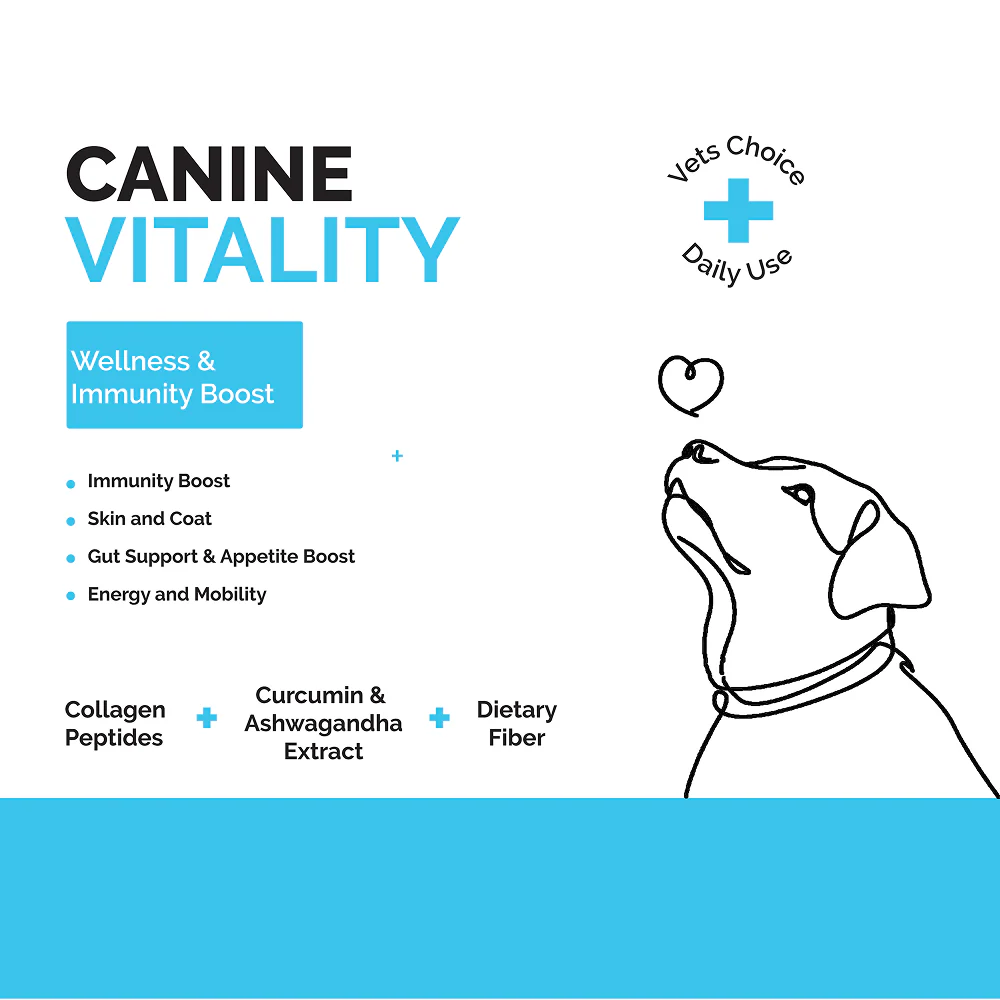 Goofy Tails Chicken Flavoured Canine Vitality + Wellness & Immunity Booster Supplement for Dogs - Image 3