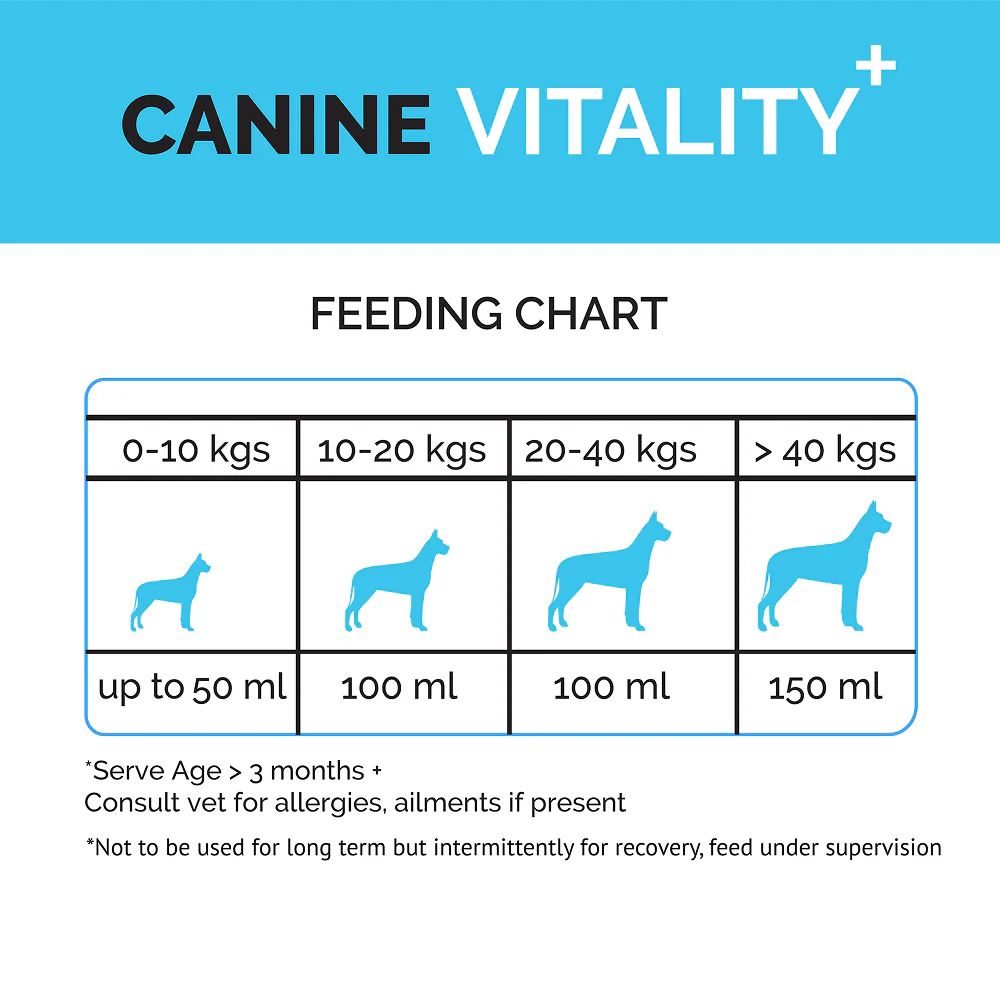 Goofy Tails Chicken Flavoured Canine Vitality + Wellness & Immunity Booster Supplement for Dogs - Image 4