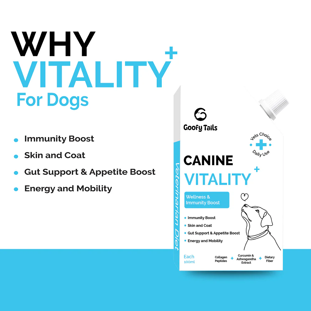 Goofy Tails Chicken Flavoured Canine Vitality + Wellness & Immunity Booster Supplement for Dogs - Image 5