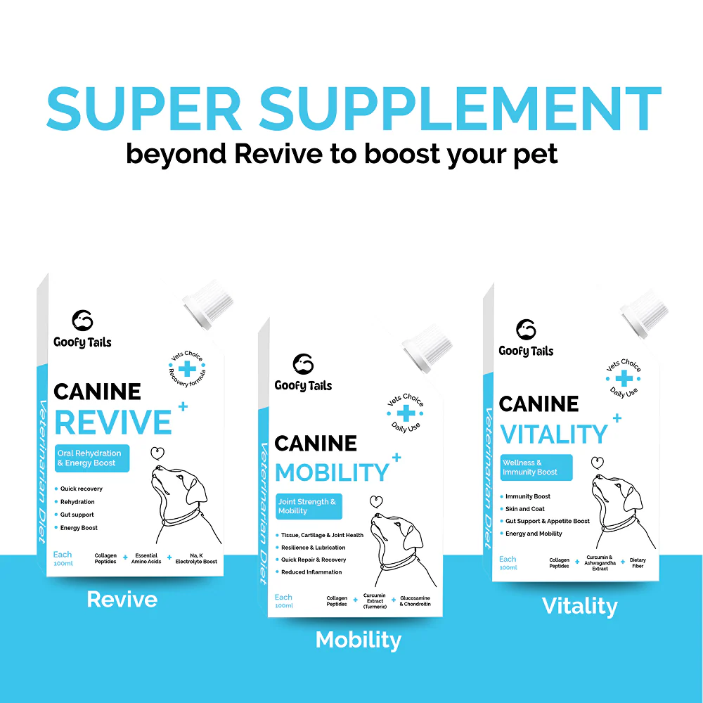 Goofy Tails Chicken Flavoured Canine Vitality + Wellness & Immunity Booster Supplement for Dogs - Image 6