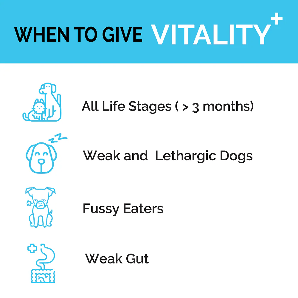 Goofy Tails Chicken Flavoured Canine Vitality + Wellness & Immunity Booster Supplement for Dogs - Image 7