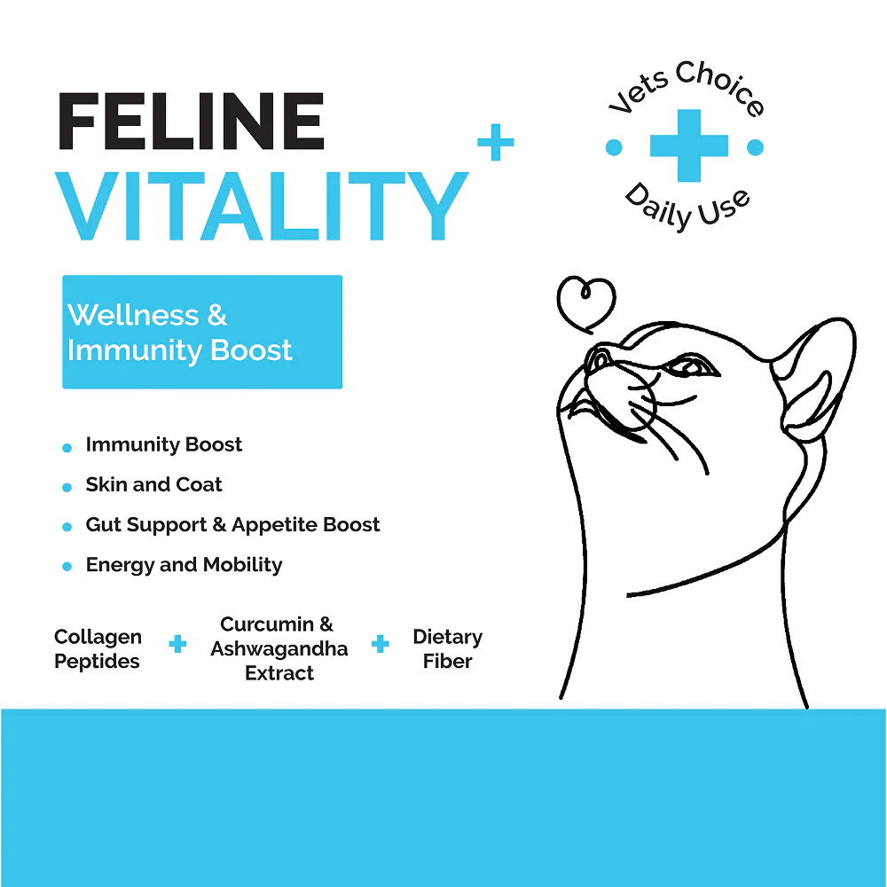 Goofy Tails Chicken Flavoured Feline Vitality + Wellness & Immunity Booster Supplement for Cats - Image 3