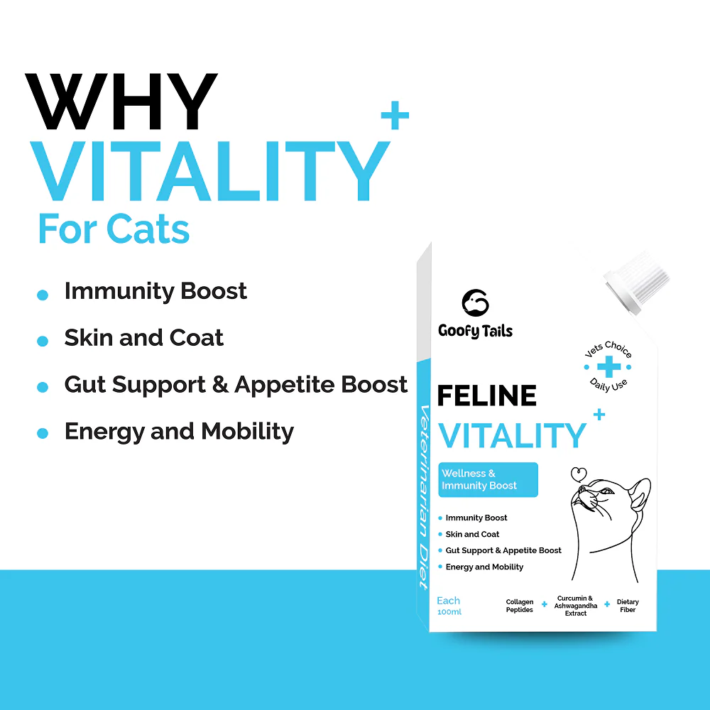 Goofy Tails Chicken Flavoured Feline Vitality + Wellness & Immunity Booster Supplement for Cats - Image 5
