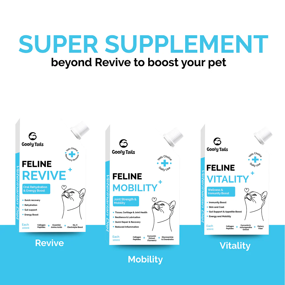 Goofy Tails Chicken Flavoured Feline Vitality + Wellness & Immunity Booster Supplement for Cats - Image 6