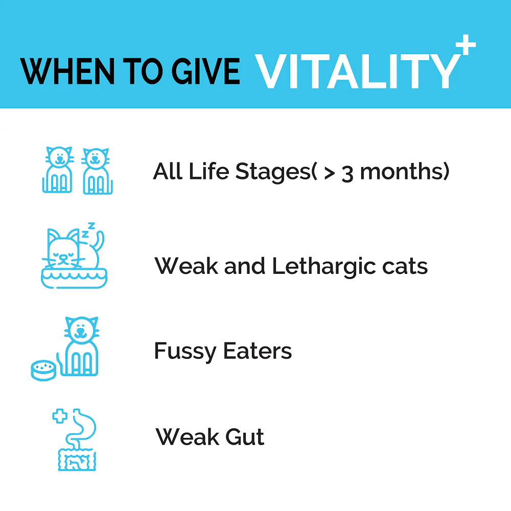 Goofy Tails Chicken Flavoured Feline Vitality + Wellness & Immunity Booster Supplement for Cats - Image 7