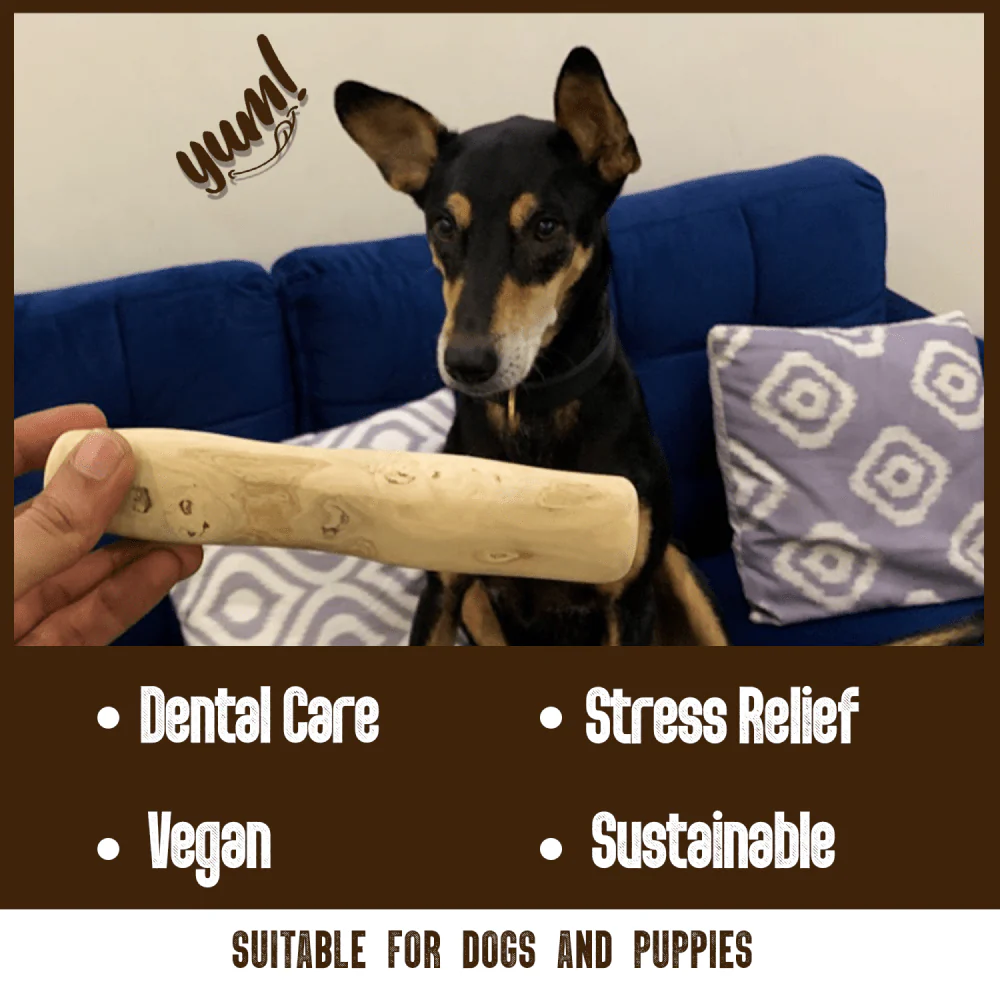Goofy Tails Coffee Wood Chewing Stick Toy for Dogs | For Medium Chewers - Image 3