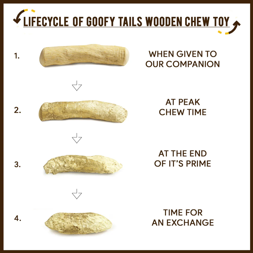 Goofy Tails Coffee Wood Chewing Stick Toy for Dogs | For Medium Chewers - Image 7
