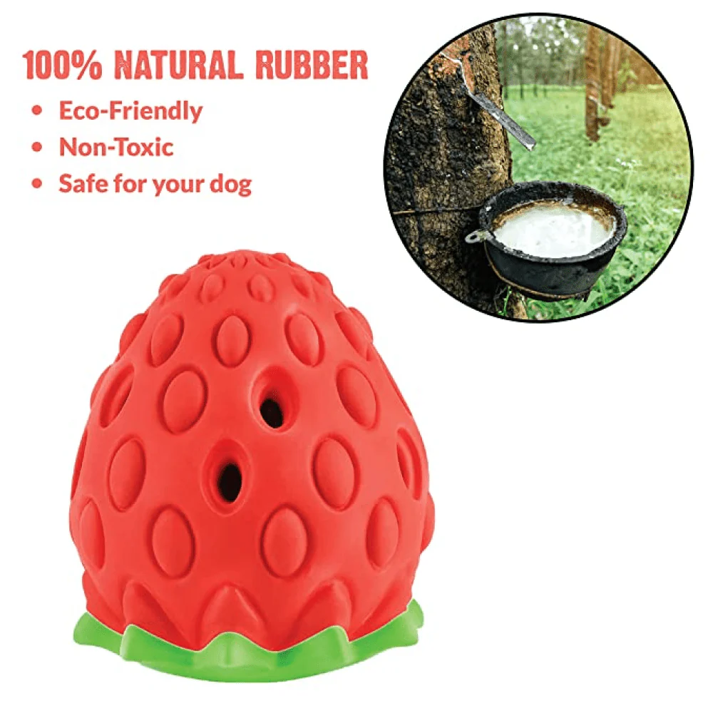 Goofy Tails Dumbbell Treat Dispensing Interactive Toys and Strawberry shaped Natural Rubber Chew Toy for Dogs Combo - Image 11