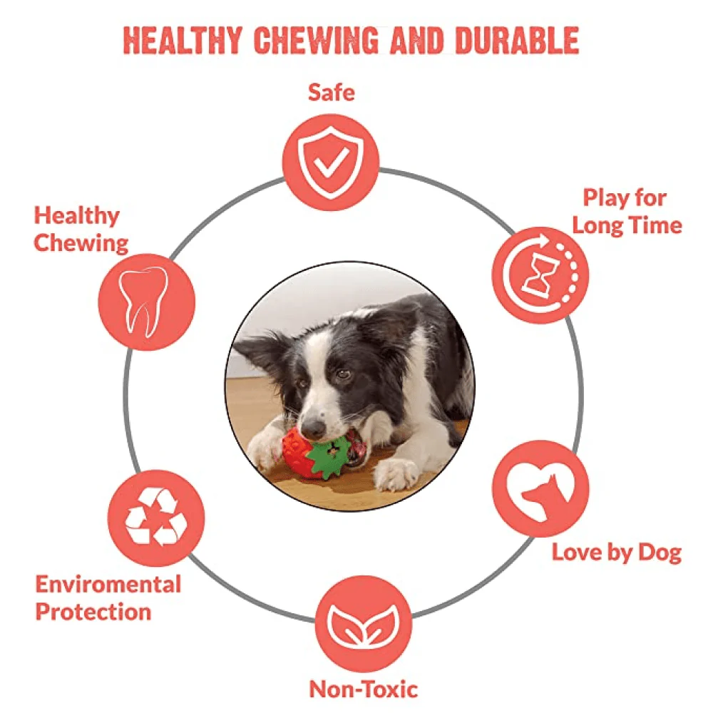 Goofy Tails Dumbbell Treat Dispensing Interactive Toys and Strawberry shaped Natural Rubber Chew Toy for Dogs Combo - Image 14