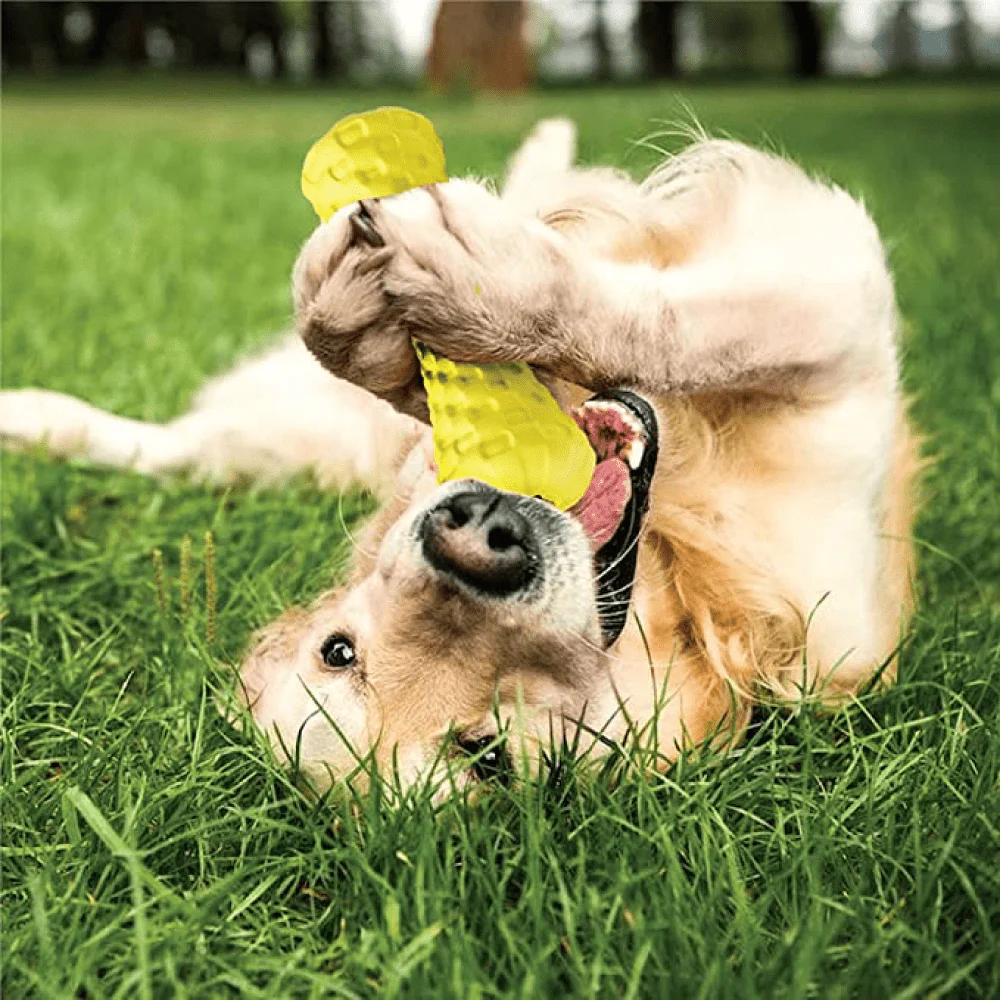 Goofy Tails Dumbbell Treat Dispensing Interactive Toys and Strawberry shaped Natural Rubber Chew Toy for Dogs Combo - Image 8