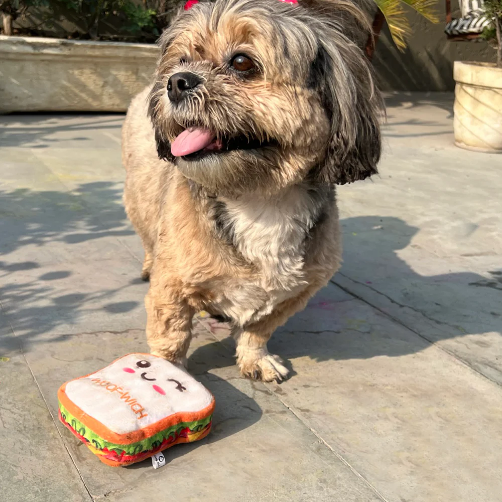Goofy Tails Food Buddies Sandwich Plush Toy for Dogs - Image 5