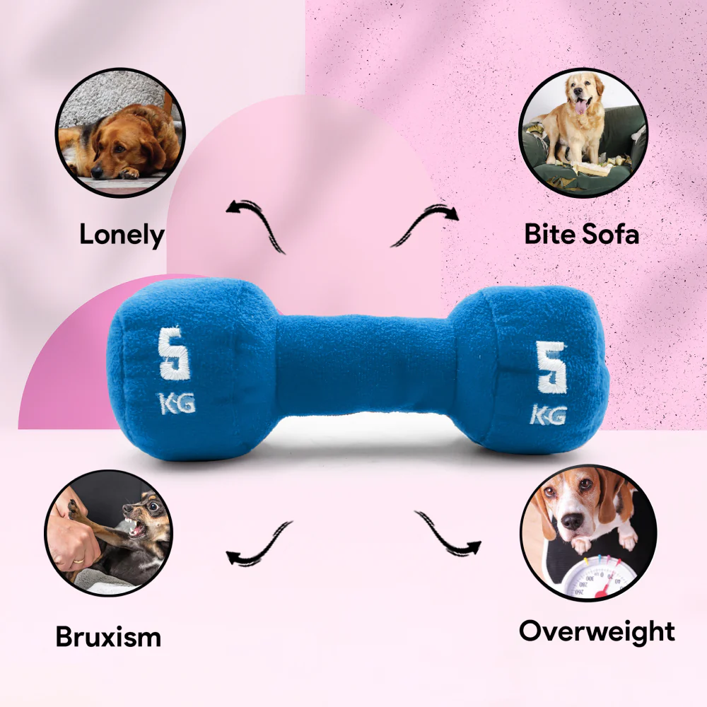 Goofy Tails Gym Series Dumbbell Plush Toy for Dogs (Blue) - Image 3