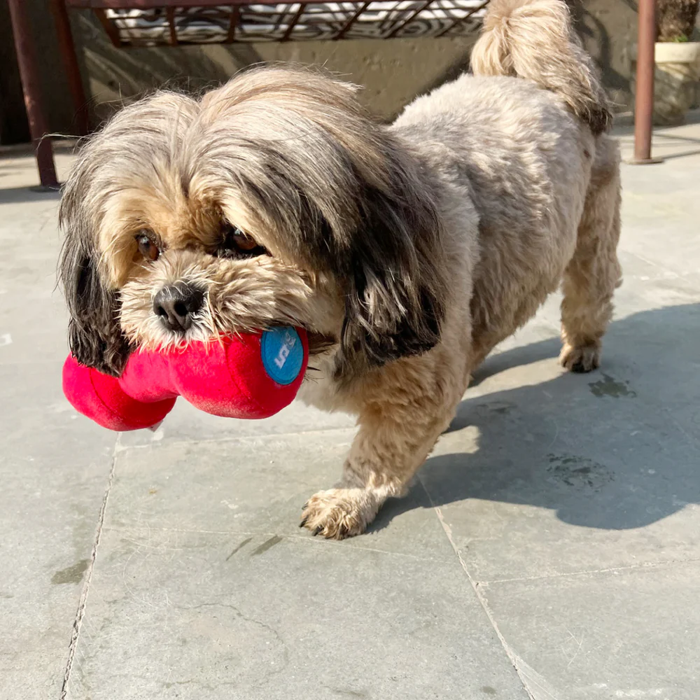 Goofy Tails Gym Series Dumbbell Plush Toy for Dogs (Red) - Image 5