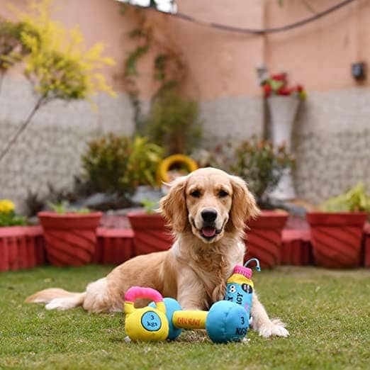Goofy Tails Gym Series Kettlebell Plush Toy for Dogs | For Soft Chewers (Yellow) - Image 5