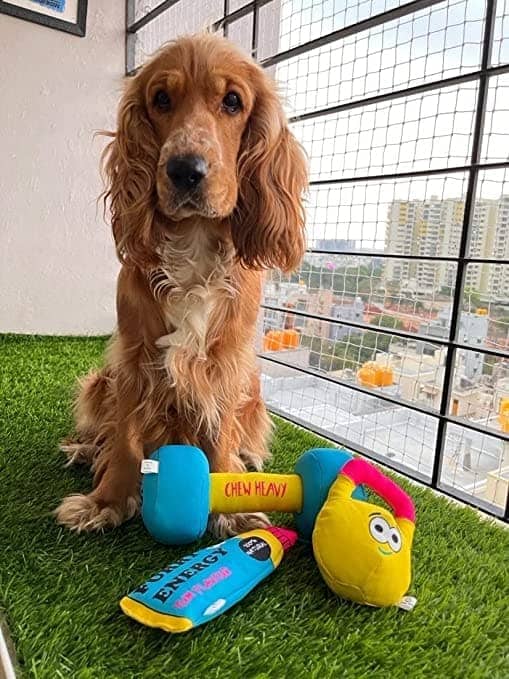 Goofy Tails Gym Series Kettlebell Plush Toy for Dogs | For Soft Chewers (Yellow) - Image 6