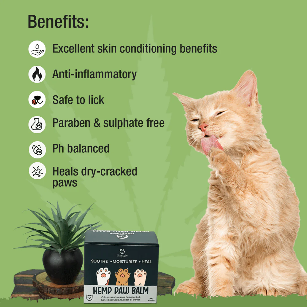 Goofy Tails Hemp Butter Paw Cream for Cats - Image 2