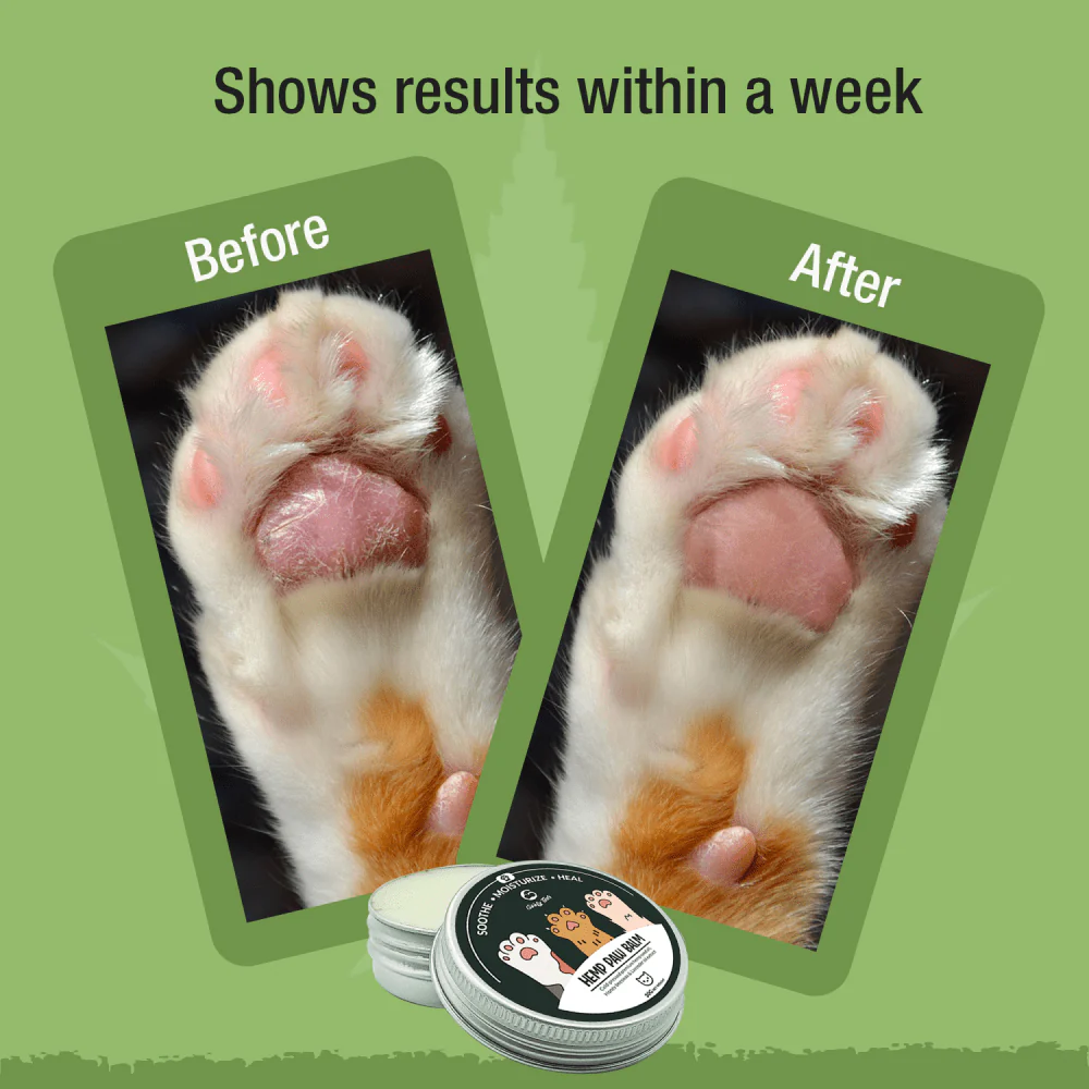 Goofy Tails Hemp Butter Paw Cream for Cats - Image 6