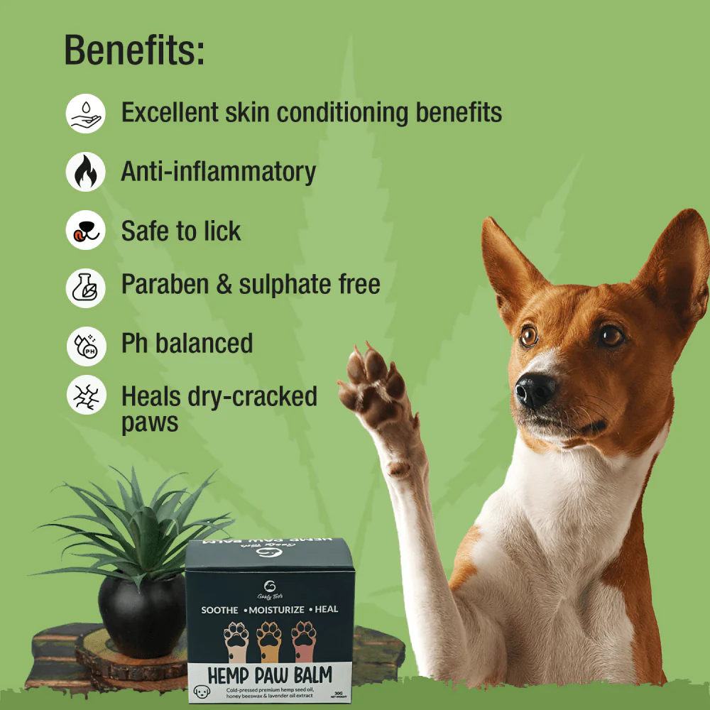 Goofy Tails Hemp Butter Paw Cream for Dogs - Image 2
