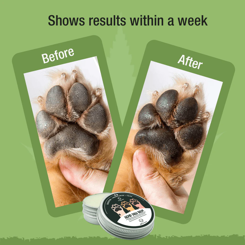 Goofy Tails Hemp Butter Paw Cream for Dogs - Image 6