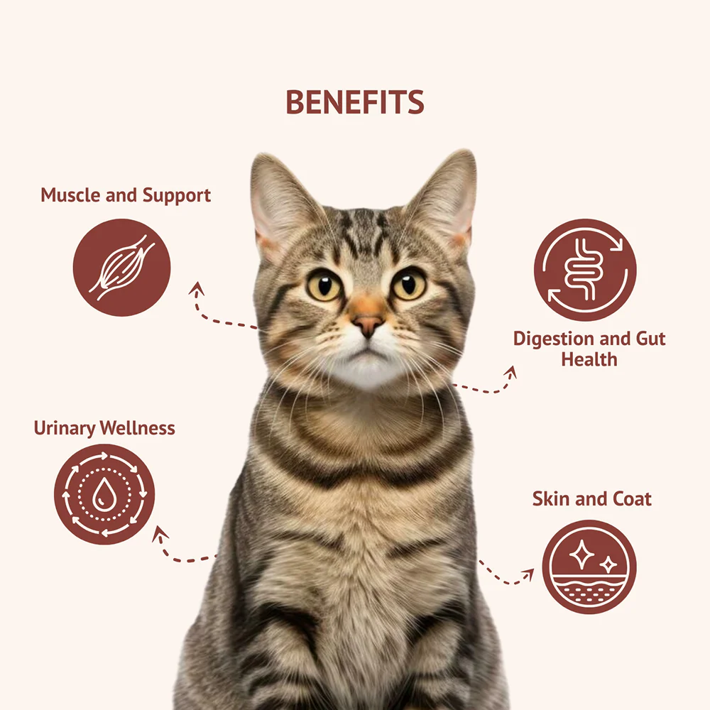 Goofy Tails Himalayan Trout & Anchovies Cat Meals - Image 10