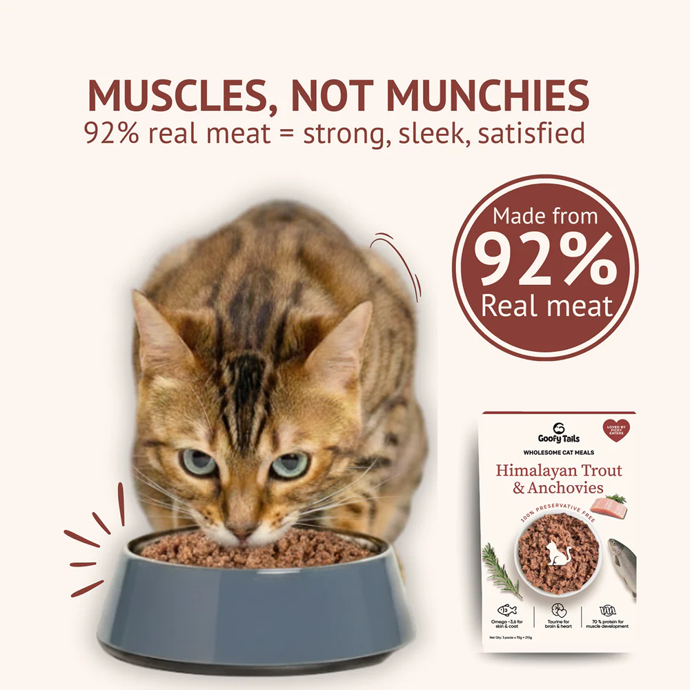 Goofy Tails Himalayan Trout & Anchovies Cat Meals - Image 3