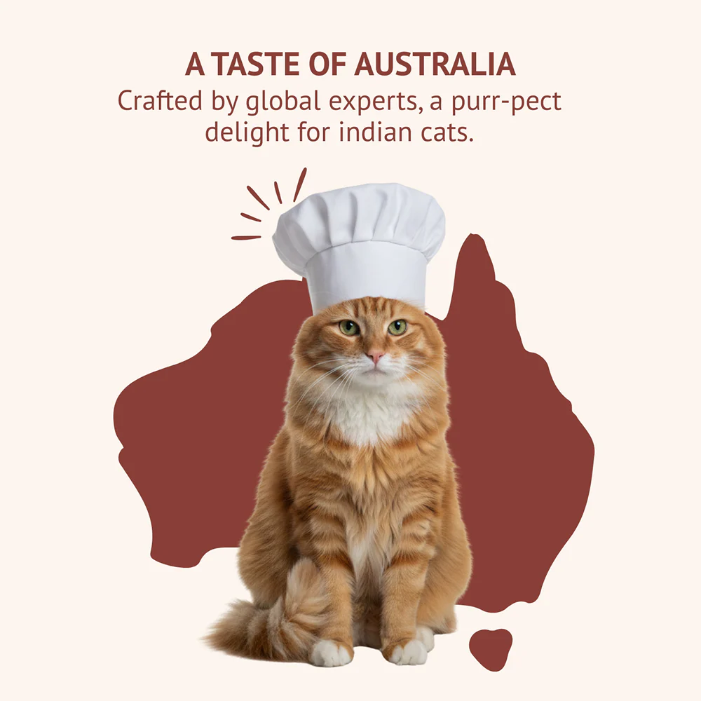 Goofy Tails Himalayan Trout & Anchovies Cat Meals - Image 9
