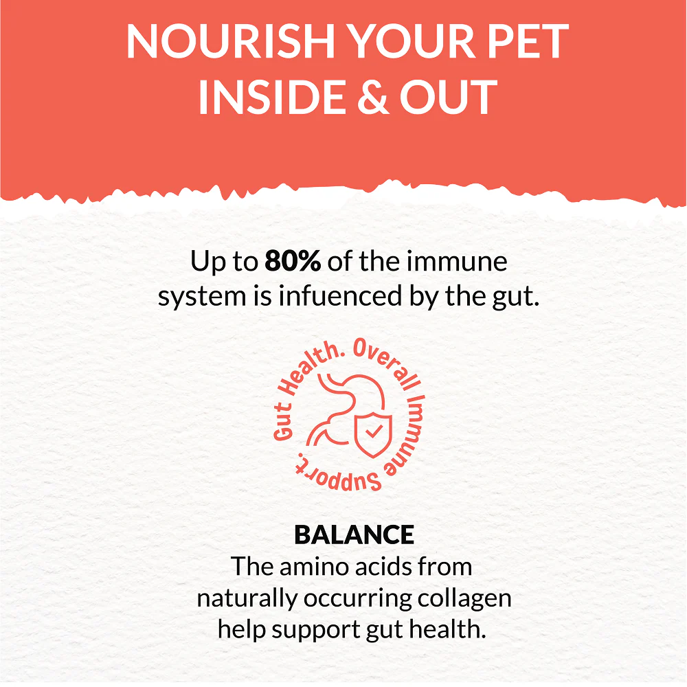 Goofy Tails Lamb Bone Broth for Dogs - Image 5