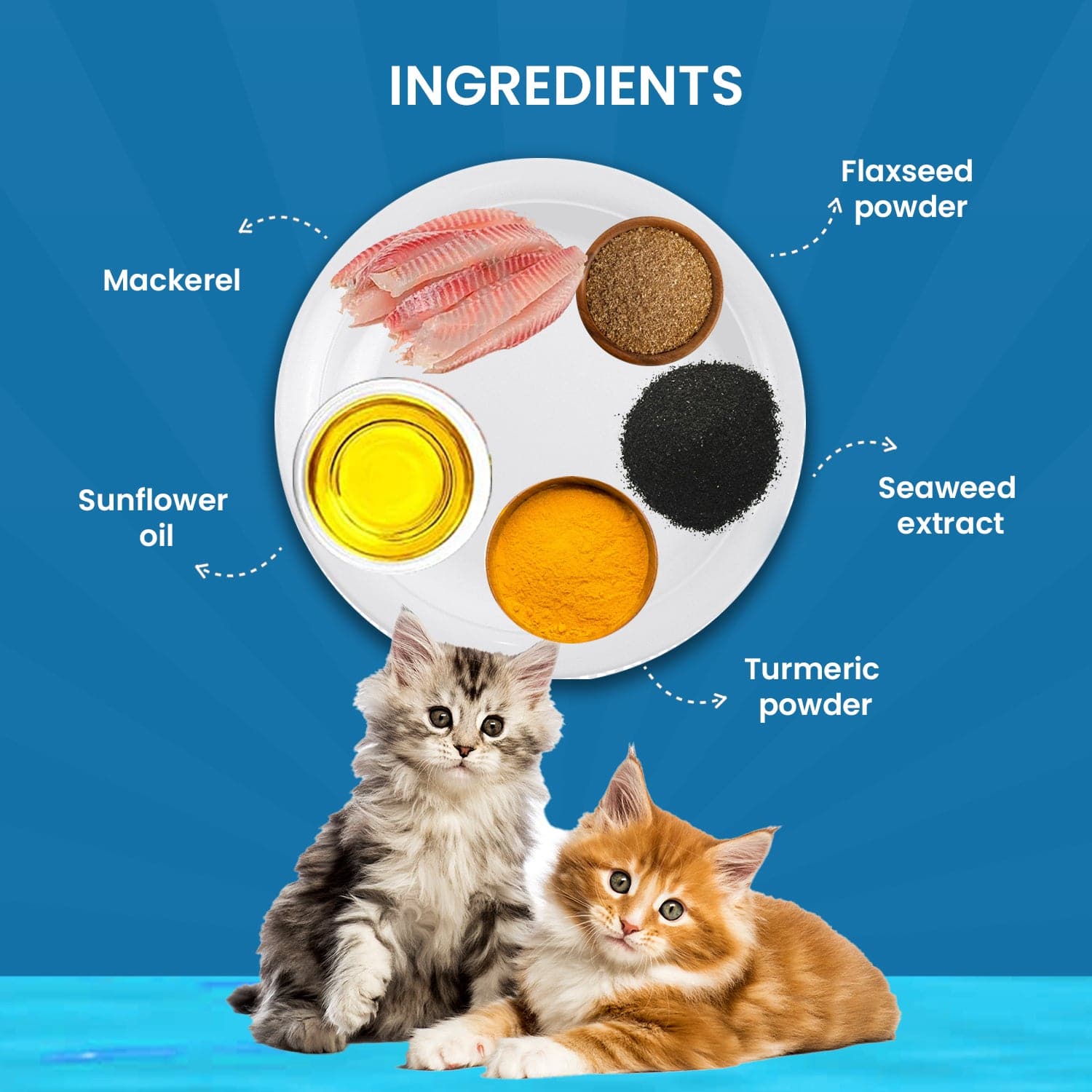 Goofy Tails Mackerel and Seaweed Cat Wet Food - Image 3