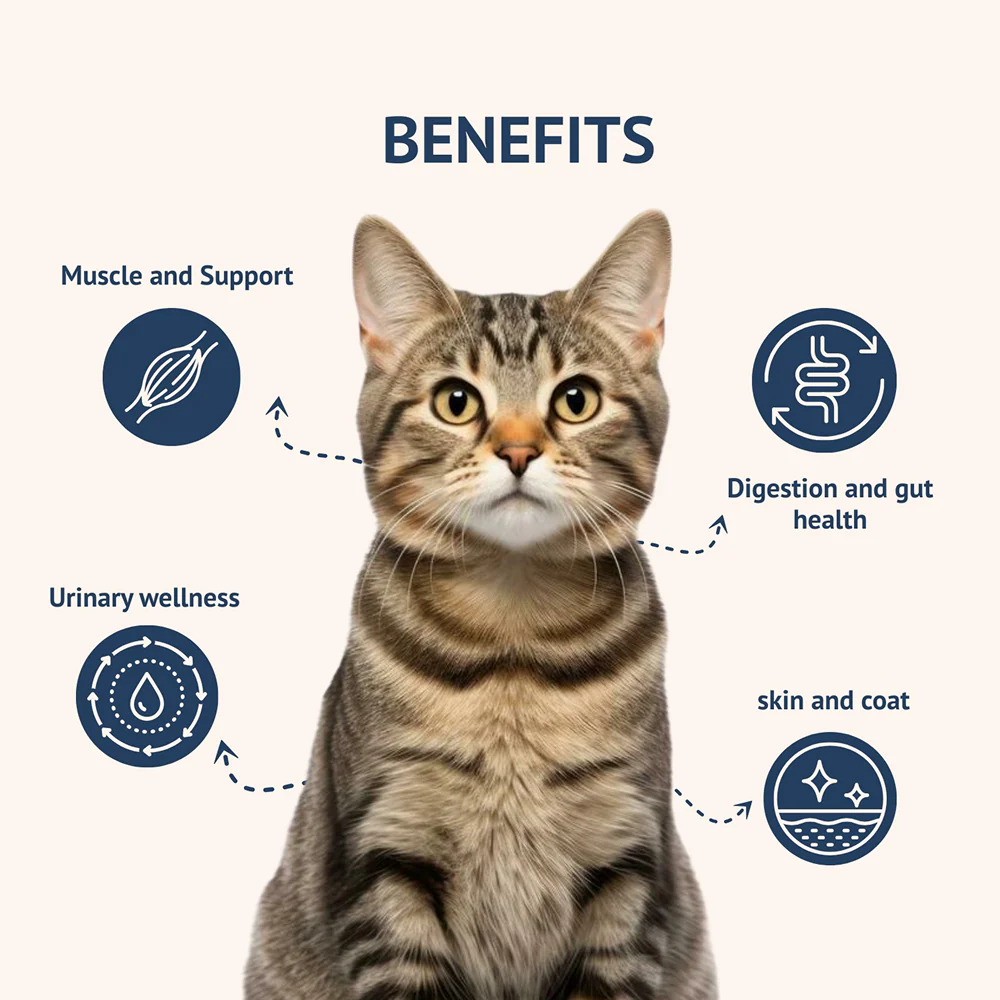Goofy Tails Mackerel & Chicken Cat Meals - Image 2
