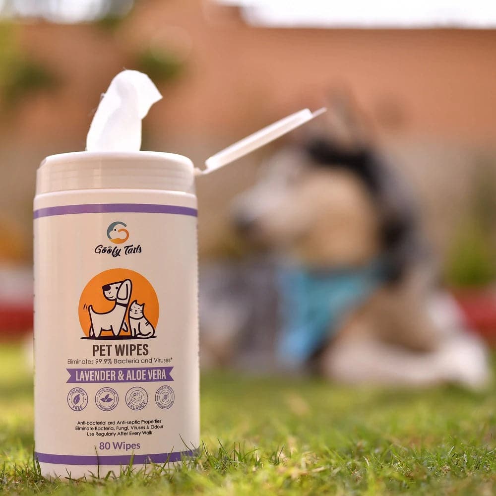 Goofy Tails Wipes for Dogs and Cats - Image 2