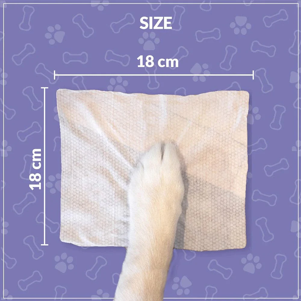 Goofy Tails Wipes for Dogs and Cats - Image 6