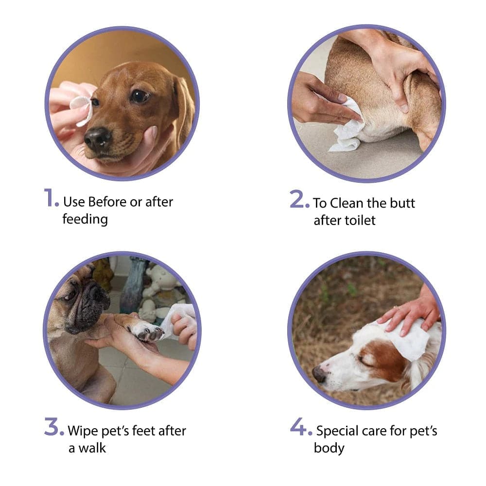 Goofy Tails Wipes for Dogs and Cats - Image 8